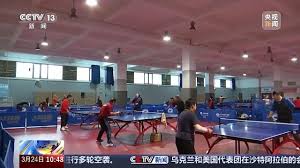 2026世界杯官方网站 乒乓球台无甲醛吗有甲醛吗